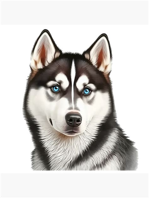 Husky Cartoon