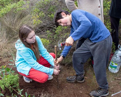 Gran Convocatoria en la Plantación de 24 Árboles Nativos a Través del