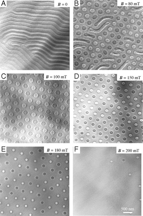 Magnetic Stripes And Skyrmions With Helicity Reversals Pnas