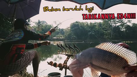 SPOT SARANG BABON TARIKAN NYA KEWALAHAN MANCING SAGULING 2023