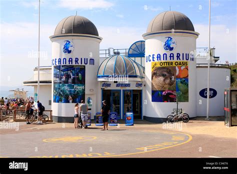 Oceanarium bournemouth aquarium bournemouth dorset hi-res stock ...