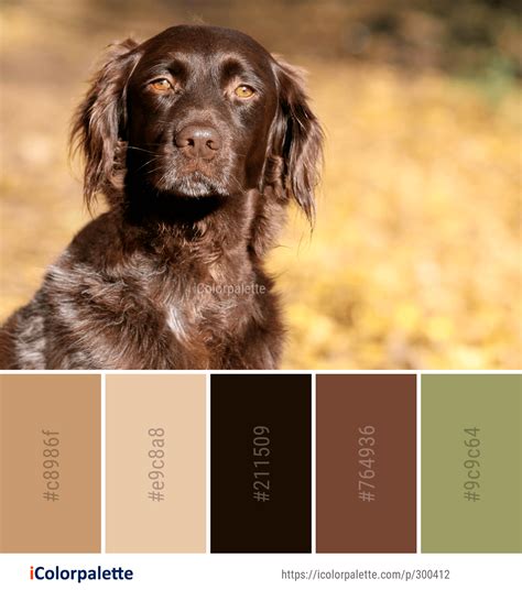 Color Palette Ideas Icolorpalette Colors Inspiration Graphics