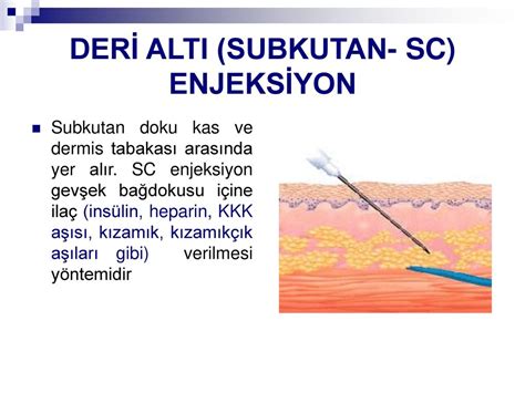 PARENTERAL İLAÇ UYGULAMALARI ppt indir