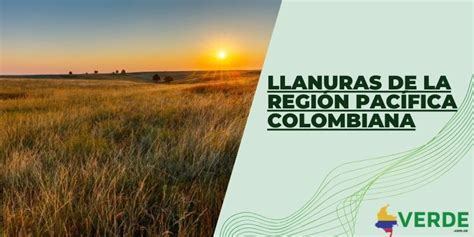 Llanuras De La Regi N Pac Fica Colombiana Colombia Verde