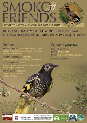 Controlling the Invasive Indian Myna Bird — NSW Landcare Gateway