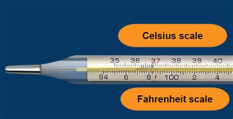 Fahrenheit Scale Thermometer