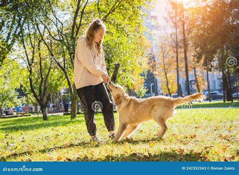 El Propietario Juega Al Perro Recuperador De Oro En El Parque Imagen