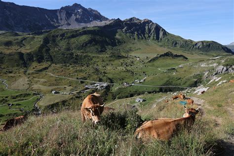 Le Rocher du vent découvrez une vue vertigineuse sur le barrage de