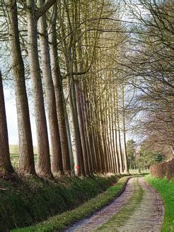 Tour Du Brabant Wallon Grp Van Tourinnes La Grosse Naar Archennes