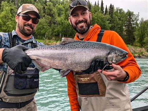 Kenai River Fishing Report Alaska Fishing Report Russian River Report