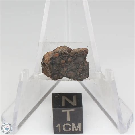 Nwa 1465 Meteorite 1465 46 The Meteorite Exchange Inc