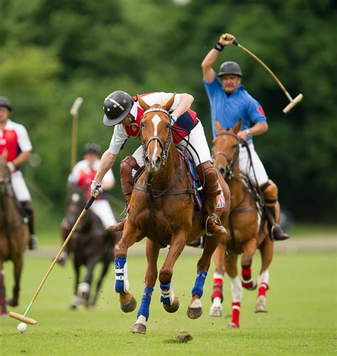 Playing Rules — Ham Polo Club