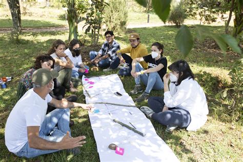 Cuidando Nuestros Bosques Un Llamado a la Educación Ambiental