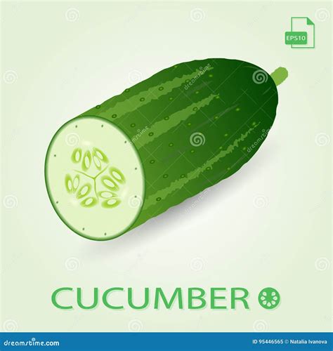 Ripe Cucumber Cut Segment On Board Cartoon Vector | CartoonDealer.com
