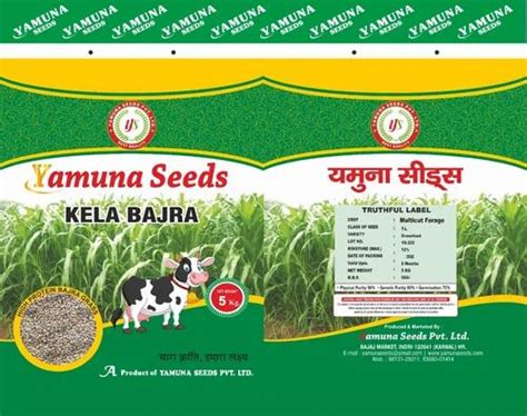 Natural Hybrid Bajra Seed Packaging Type Pp Bag Packaging Size Kg