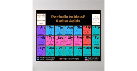 Common Amino Acids In Periodic Table Style Poster Zazzle