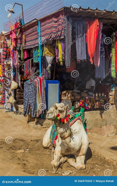 ASWAN EGYPT FEB 22 2019 Camel At The Market In Nubian Village Gharb