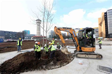 Milano Sempre Pi Verde Saranno Piantati Mila Nuovi Alberi Video