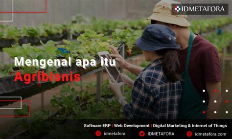 Apa Itu Agribisnis Yuk Simak Tips Dan Trik Menjadi Agribisnis Yang