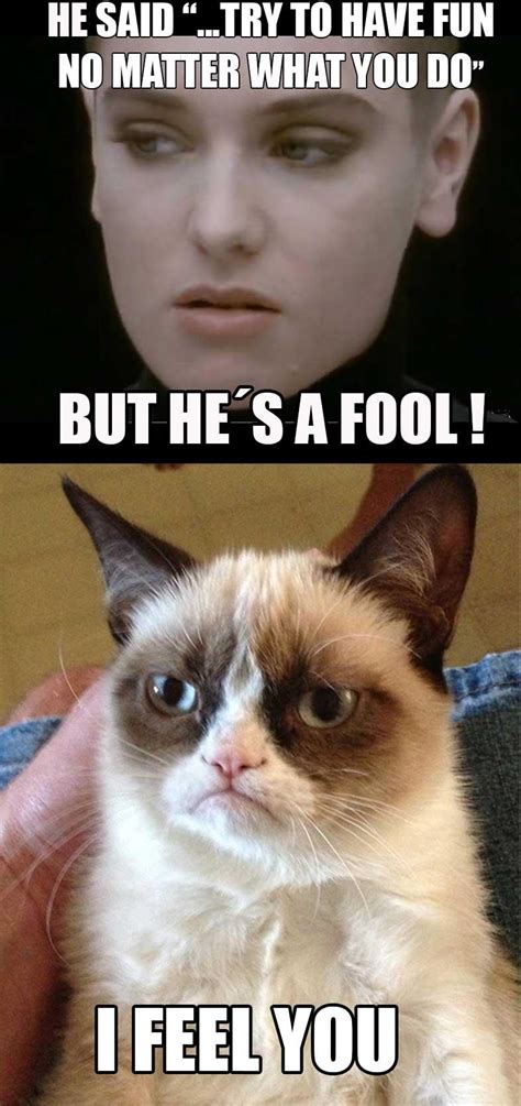 Image Grumpy Cat Know Your Meme