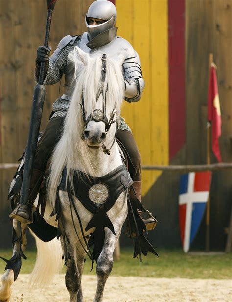 Knight In Shining Armor Horse Armor Medieval Horse Medieval Knight