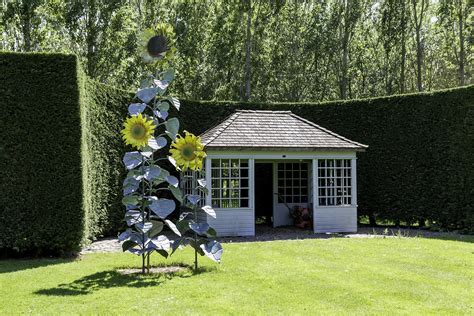 WPC Gartenhaus Eine Alternative Zum Klassischen Gartenhaus Aus Holz