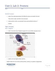 Unit Lab Protists Lab Write Up Docx Unit Lab Protists Name