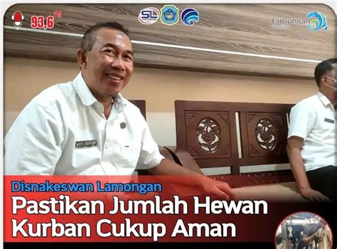 Disnakeswan Lamongan Pastikan Jumlah Hewan Kurban Cukup Aman Dinas