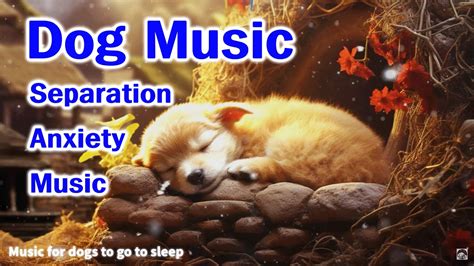 dog music to go to sleep, Deep Sleeping Music, relaxing music - YouTube