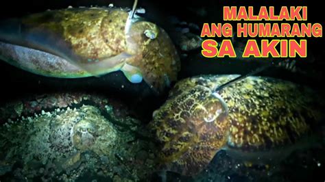 Ep Malalaki Ang Humarang Sa Akin Night Spearfishing Philippines