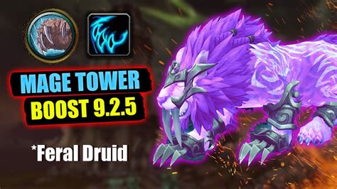 Feral Druid Mage Tower BOOST WoW Dragonflight Legion Mage Tower Return