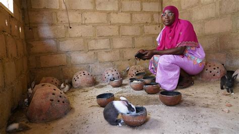 Un Centro Digital Conecta A Las Personas Desplazadas De Burkina Faso