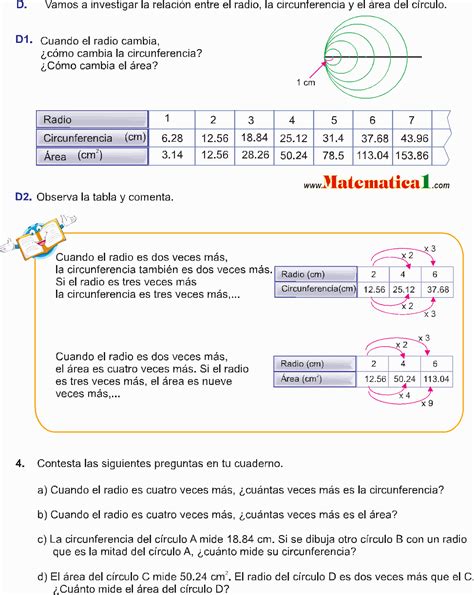 Área De Un CÍrculo Ejemplos Resueltos De Sexto De Primaria Pdf