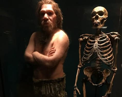 Neanderthal Genes Risk Causing Toxicity With Common Drugs Drug