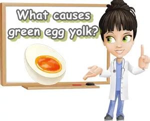 What Causes Olive Green Egg Yolk? – NatureWord