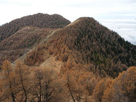 Marta Cima Di E Monte Pietravecchia Dalla Colla Melosa Anello Per