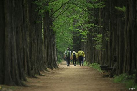 게시판 서울둘레길 초보와 함께하는 코스가이드 연합뉴스