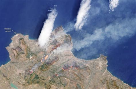 Sicilia Ostaggio Degli Incendi Danni Per Decine Di Milioni Emergenza