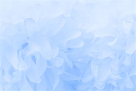 Blue Flower Background Images – Browse 3,704,069 Stock Photos, Vectors ...