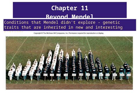 PPT Chapter 11 Beyond Mendel Conditions That Mendel Didn T Explore