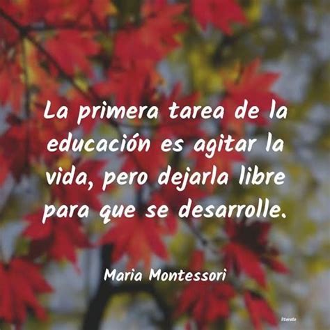 Pin By Amparo Marti On Frases Educativas Montessori