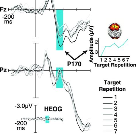 The Midline ERPs Locked To Target Cue Onset As A Function Of Target