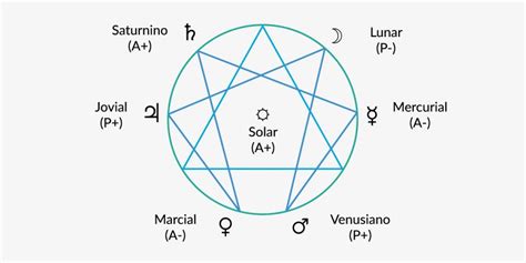 Eneagrama De Esencia Y Los Tipos Humanos Desde Tu Ser