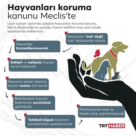 Günlük şekilde oluk Hareket etmiyor hayvanlari koruma yasasi iskelet