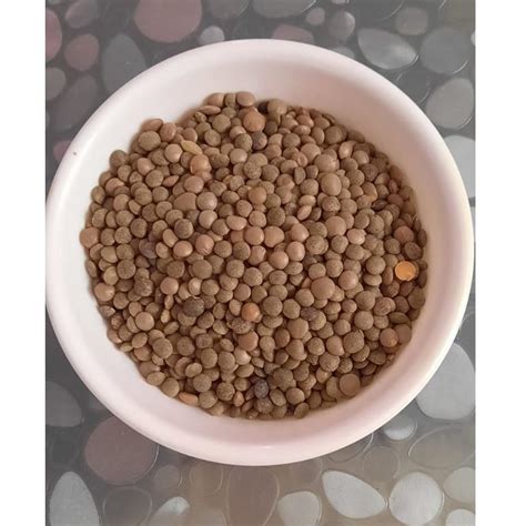 Brown Sabut Masoor Dal High In Protein Packaging Size Kg At Rs