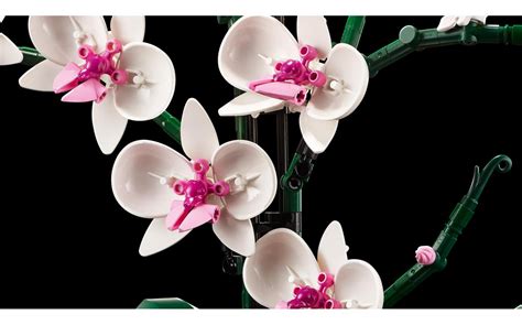 LEGO 10311 Icons Orchidee Bouwpakket Voor Volwass ToyChamp