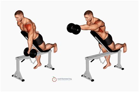 Dumbbell Trap Exercises Incline Front Raise In 2023 Traps Workout