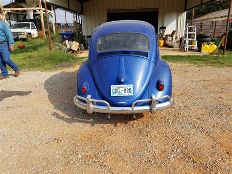 1961 Volkswagen Beetle Test Drive Review Cargurus