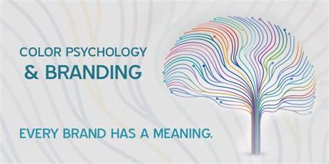 Color Psychology in Logo Design and Brand Identity Graphics