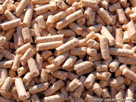 Pellet Alimentaire